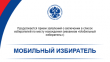 Можно проголосовать на любом удобном избирательном участке вне зависимости от места регистрации