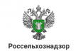 Письмов ОМСУ о разъяснениий требований к торговле на розничных рынка и ярмарках